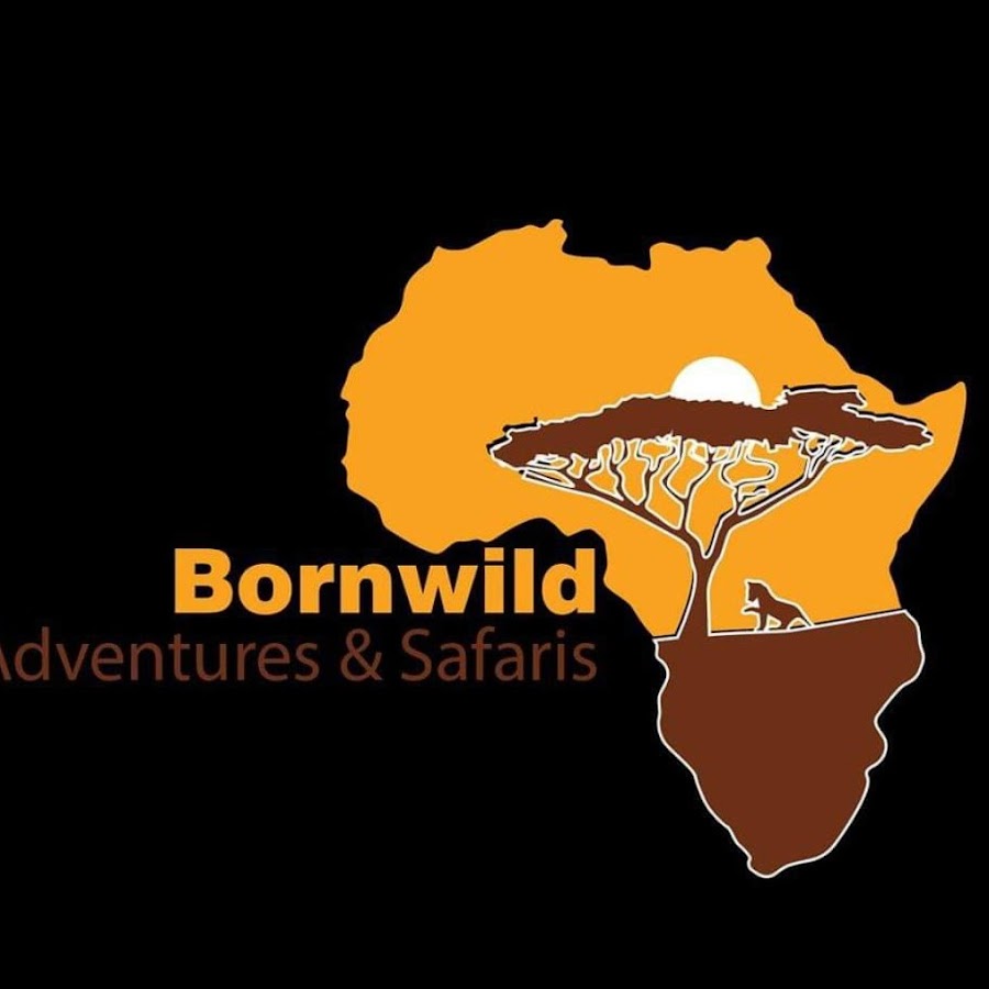 BornWild Travel Adventures  7 Amazing African Wild Animals To See