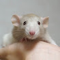 FancyRaTube