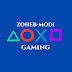 zoheb modi Gaming