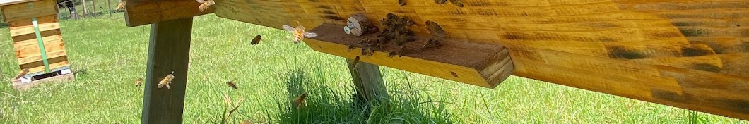 Cherylee’s Bees (Aussie Bush Bee Nanny 🇦🇺)