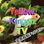 Yellow.Kingyo.TV