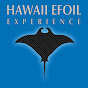 Hawaii Efoil Experience