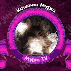 Kitty Murka