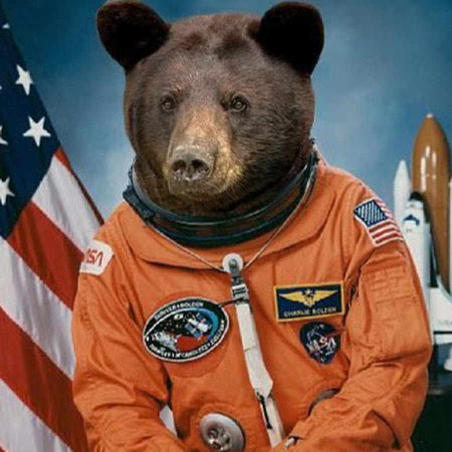 Маша и медведь космонавты. Медвежонок космонавт. Bear космонавт. Мишка Тедди космонавт. Российский медведь космонавт.
