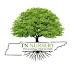 logo TN Nursery