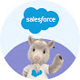 Salesforce Support