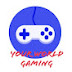 Your World Gaming