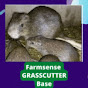 Farmsense Grasscutter Base