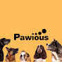 Pawious