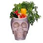 Skullhead - Gardening, Cooking, D.I.Y. and more...