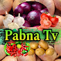 Pabna Tv