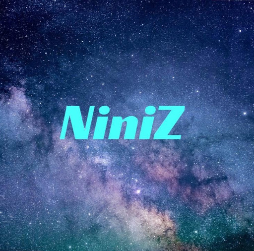Nin
