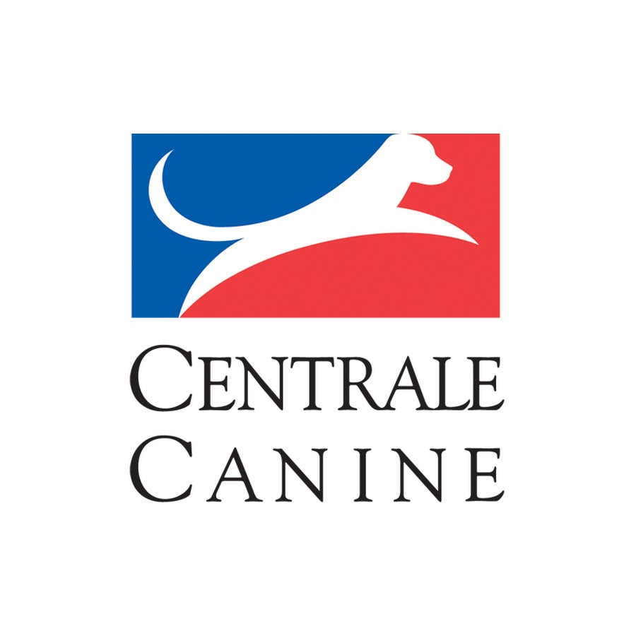 Centrale Canine @centralecanine2446