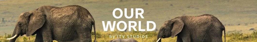 Our World Banner