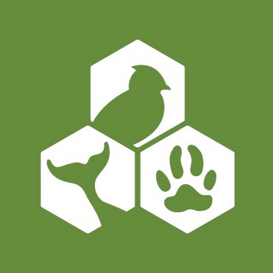 Animal Welfare Institute - YouTube