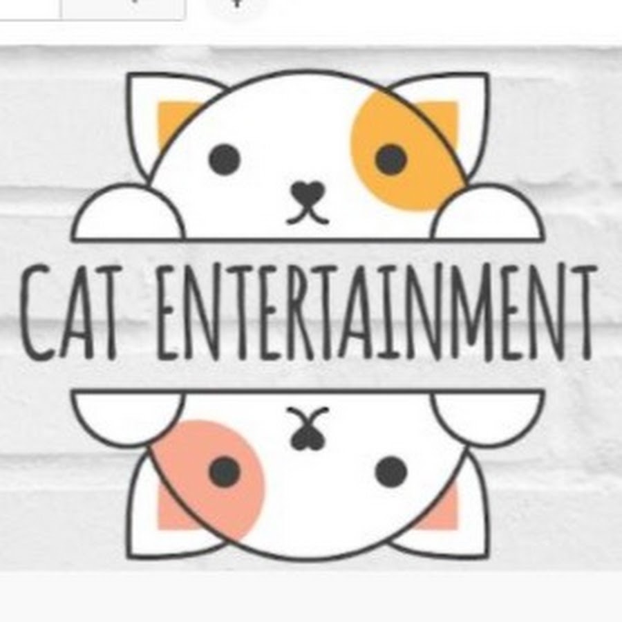 Cat entertainment discount