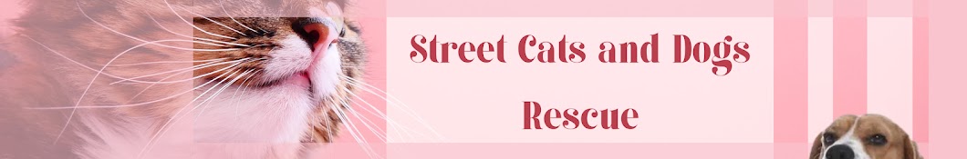 Street Cats and Dogs Rescue