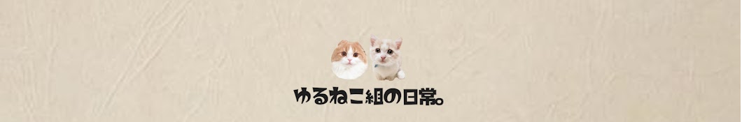 ゆるねこ組の日常。