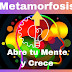 METAMORFOSIS MUSIC.   CANAL OFFICIAL