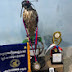 JKH falconry 