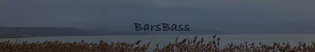 BarsBass