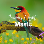 Funny Light Music