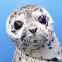 BC Marine Mammal Rescue Society