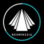 ROOMINESIA