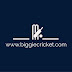 logo Sports World - Biggie Cricket