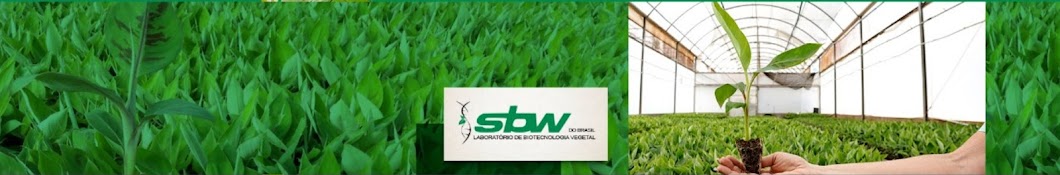 SBW do Brasil