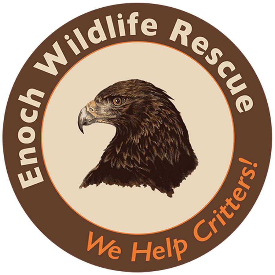 Enoch Wildlife Rescue @GowildlifeOrg