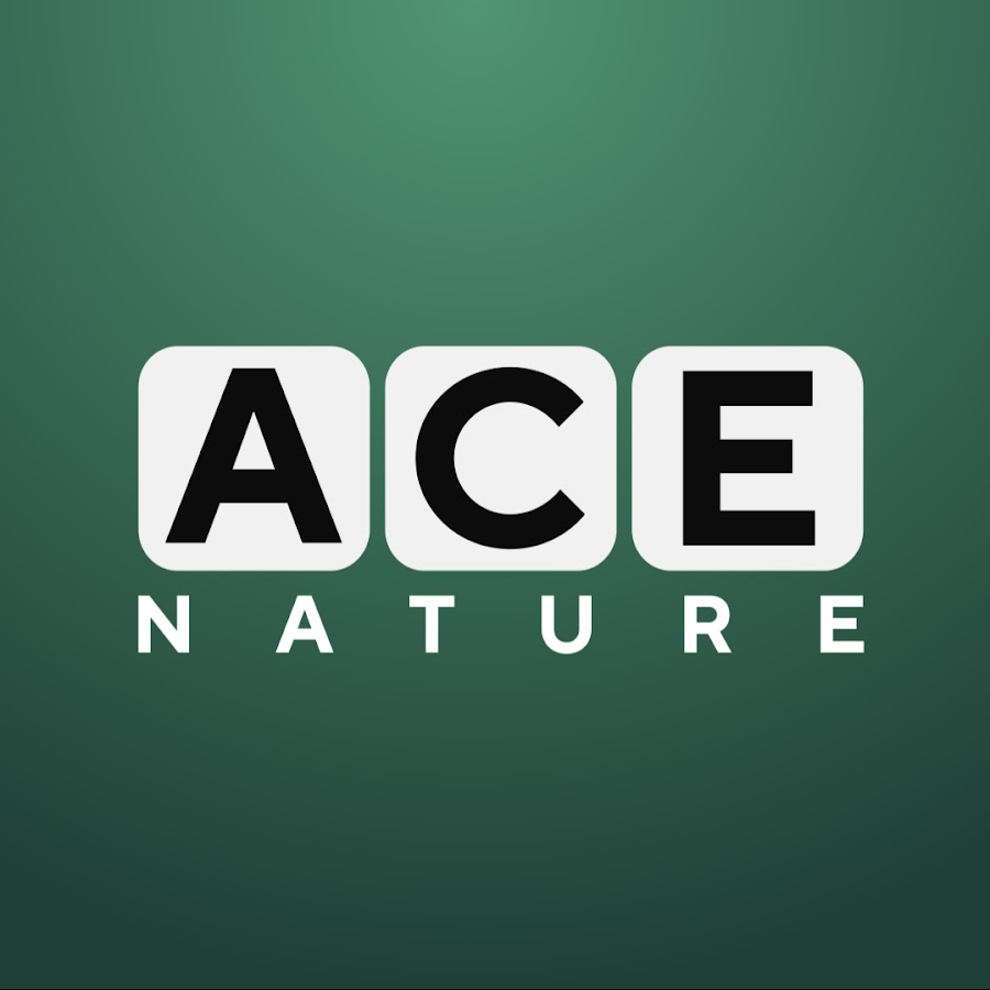 ACE Nature - YouTube ACE Nature