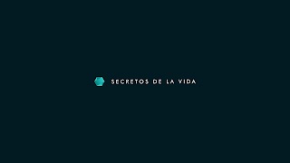 SECRETOS DE LA VIDA youtube banner