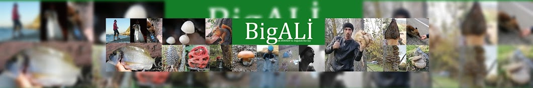BigAli Banner