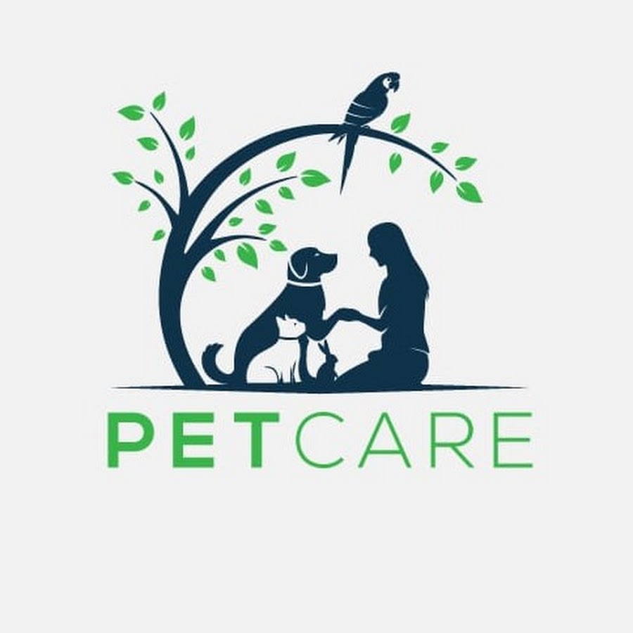 Pets lab. Логотип Petcare. Pet food logo. Логотип Анимал клиник. Food_for_Pet логотип.