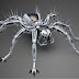 logo Spider Spider