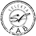 Selekta Fab - Officiel