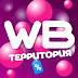 logo WB ТЕРРИТОРИЯ