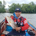 Ainul Yaqin Official Angler