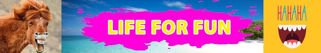 Life for Fun Banner