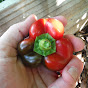 Green Hat Gardening