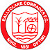 Ballyclare Comrades FC