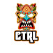 Ctrl ROM