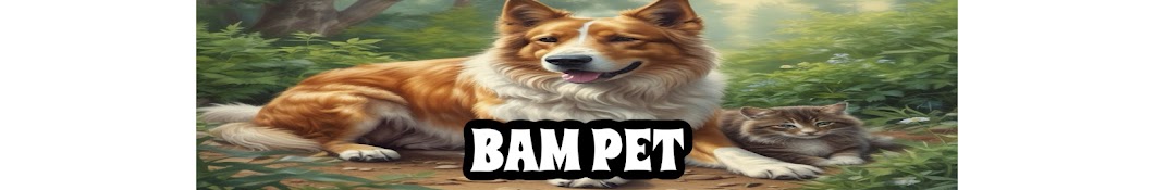 BAM PET -밤펫