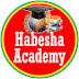 Habesha Academy