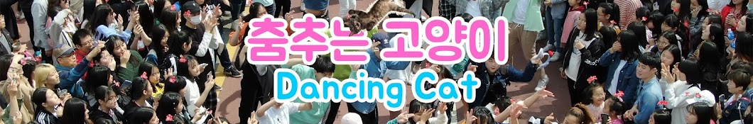 춤추는고양이 (Dancing Cat)