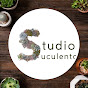 Studio Suculento