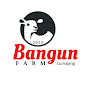 Bangun Farm Lumajang