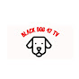 Black dog 47 TV