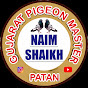 Gujarat Pigeon Master